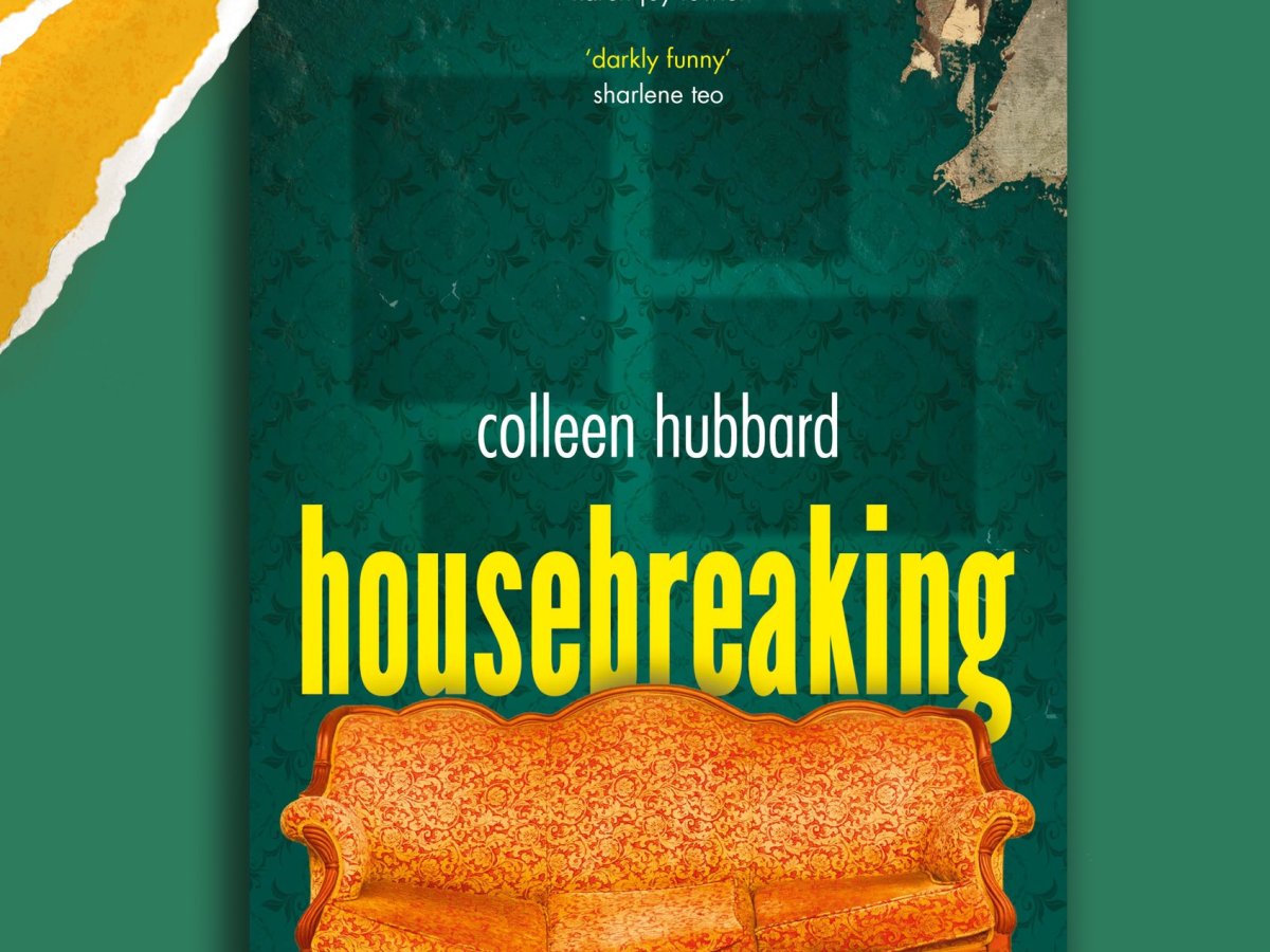 Housebreaking by Colleen&nbsp;Hubbard